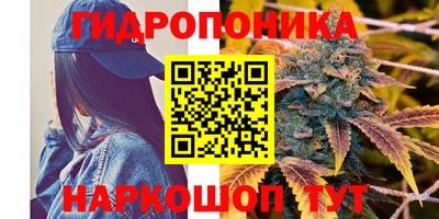 дурь Будённовск
