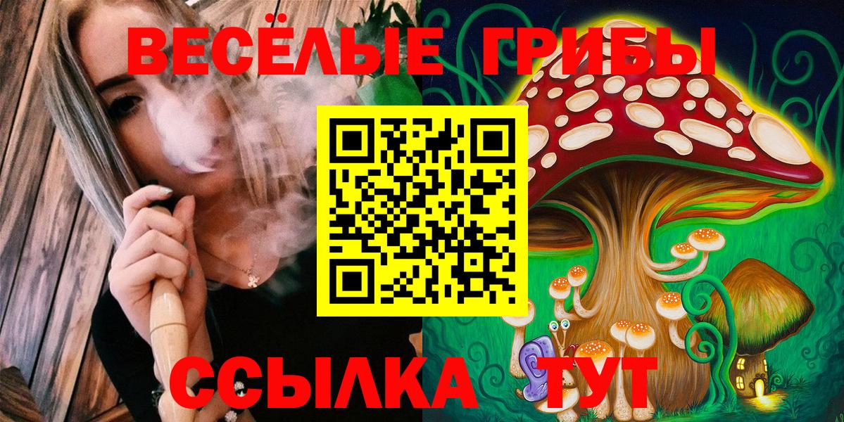 Галлюциногенные грибы Cubensis  Галлюциногенные грибы Magic Shrooms  Вход с VPN  купить  цена  Кыштым 